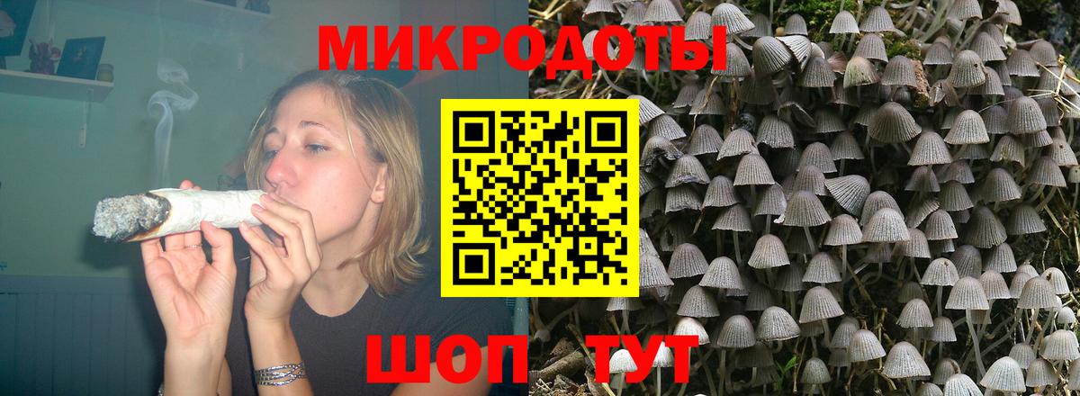 Галлюциногенные грибы Psilocybine cubensis  Вход с VPN  Киселёвск 